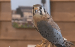 Screen Shot 2015-03-05 at 1.03.29 AM